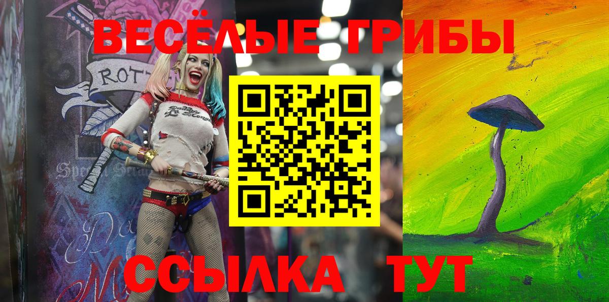 Псилоцибиновые грибы Cubensis  Вход с VPN  Петропавловск-Камчатский 