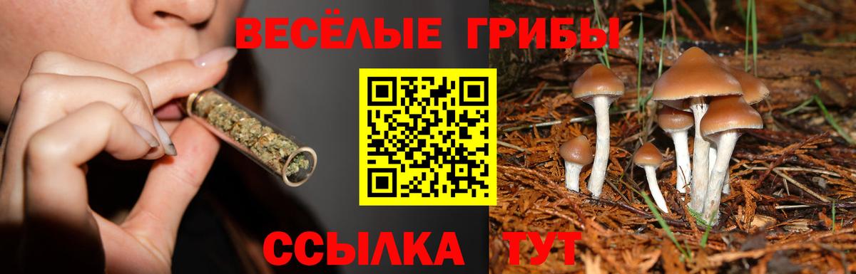 Галлюциногенные грибы GOLDEN TEACHER Петропавловск-Камчатский